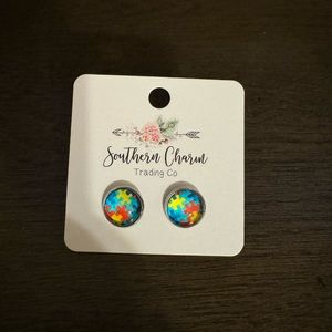 Autism Awareness Earrings, new